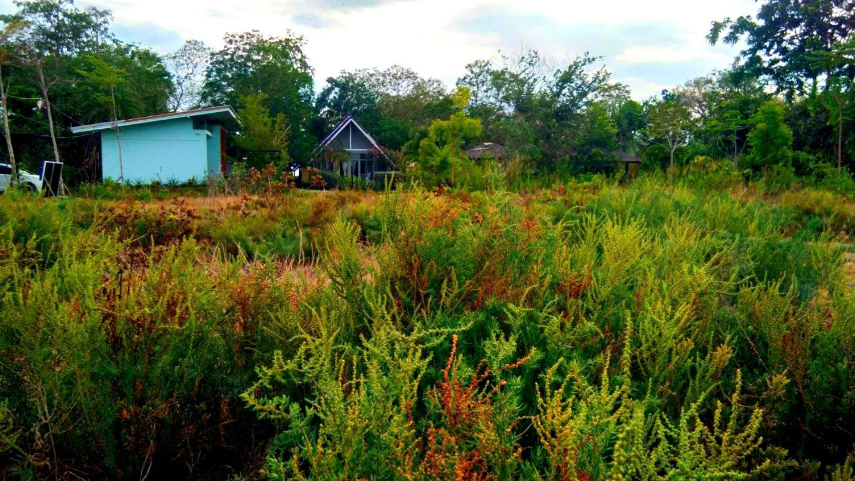 Ban Bang Home Resort Haad Chao Samran Exterior photo